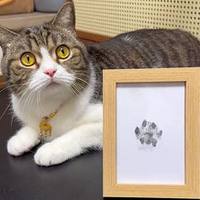 Load image into Gallery viewer, Pet Paw Printing Kit