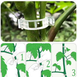 Plant Support Clips （50 pcs)