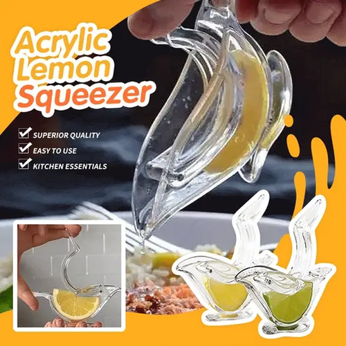 Transparent Manual Juicer