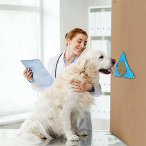 Silicone Food Plate for Pet Bathing