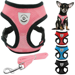 Cat Harness And Leash For Adventure